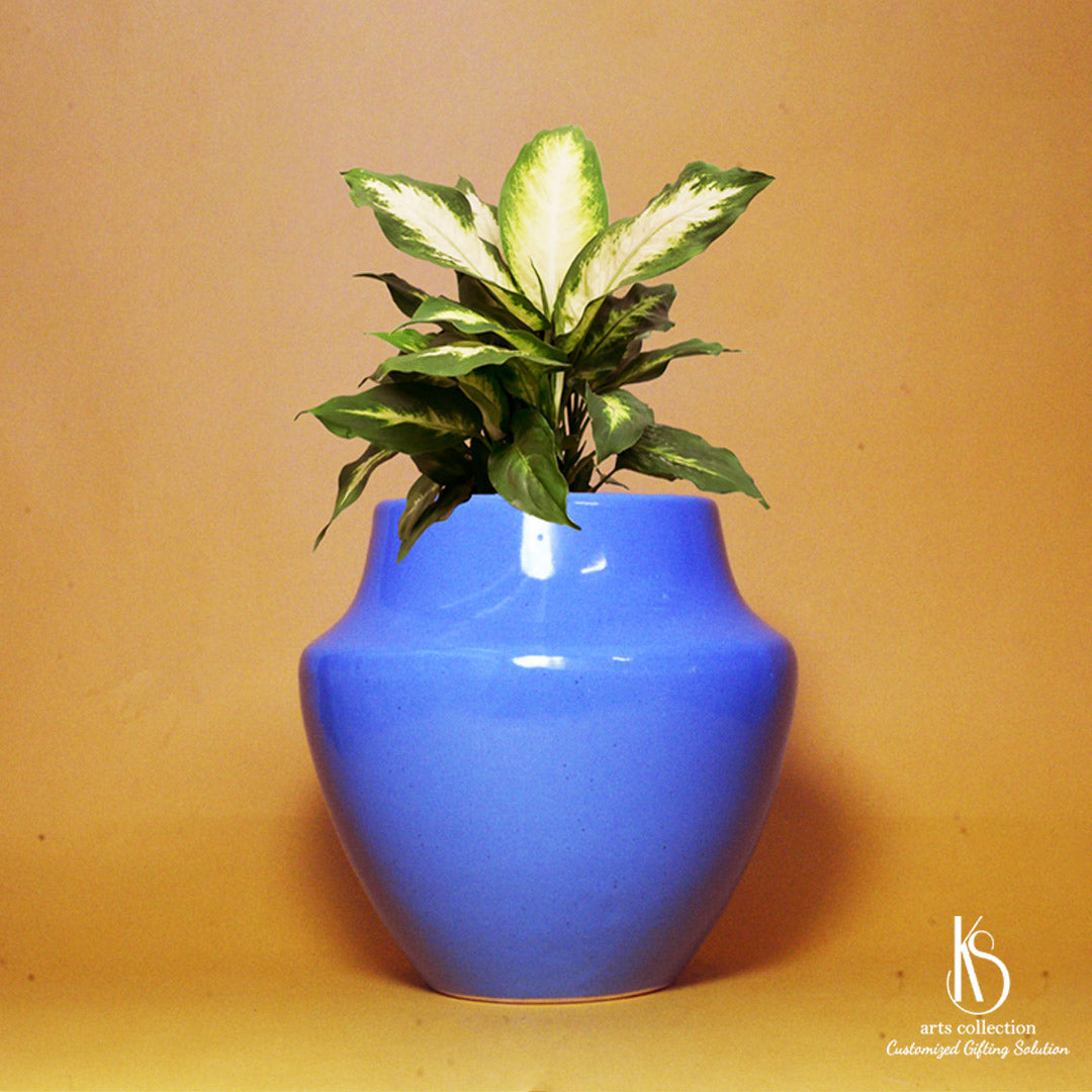 ceramic plant pots online india KS Indian Classic Ceramic Planter – KS ARTS COLLECTION