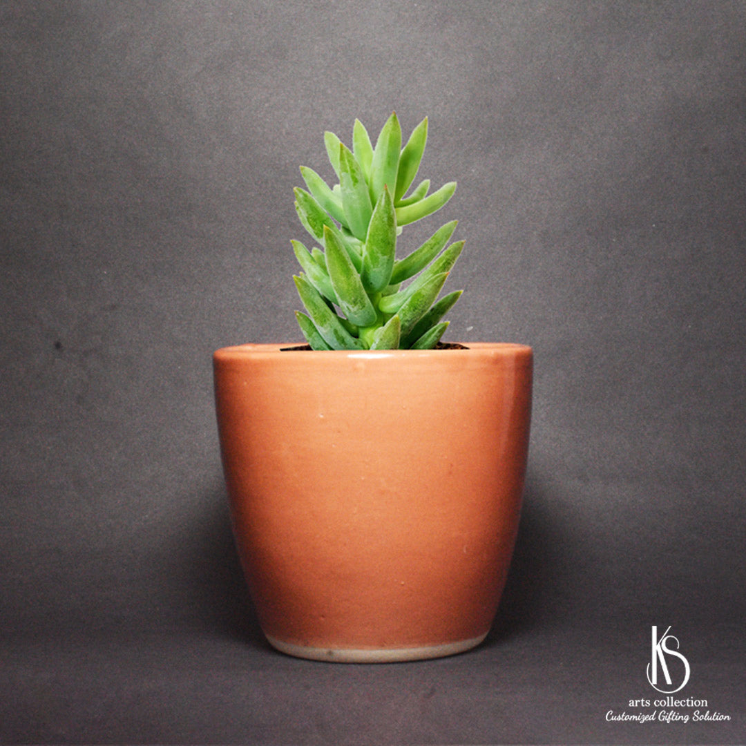 Looking for a special personalised gift? Check out our KS Vintage Ceramic Planter, available at our online gift shop. Customized gift never looked so chic!