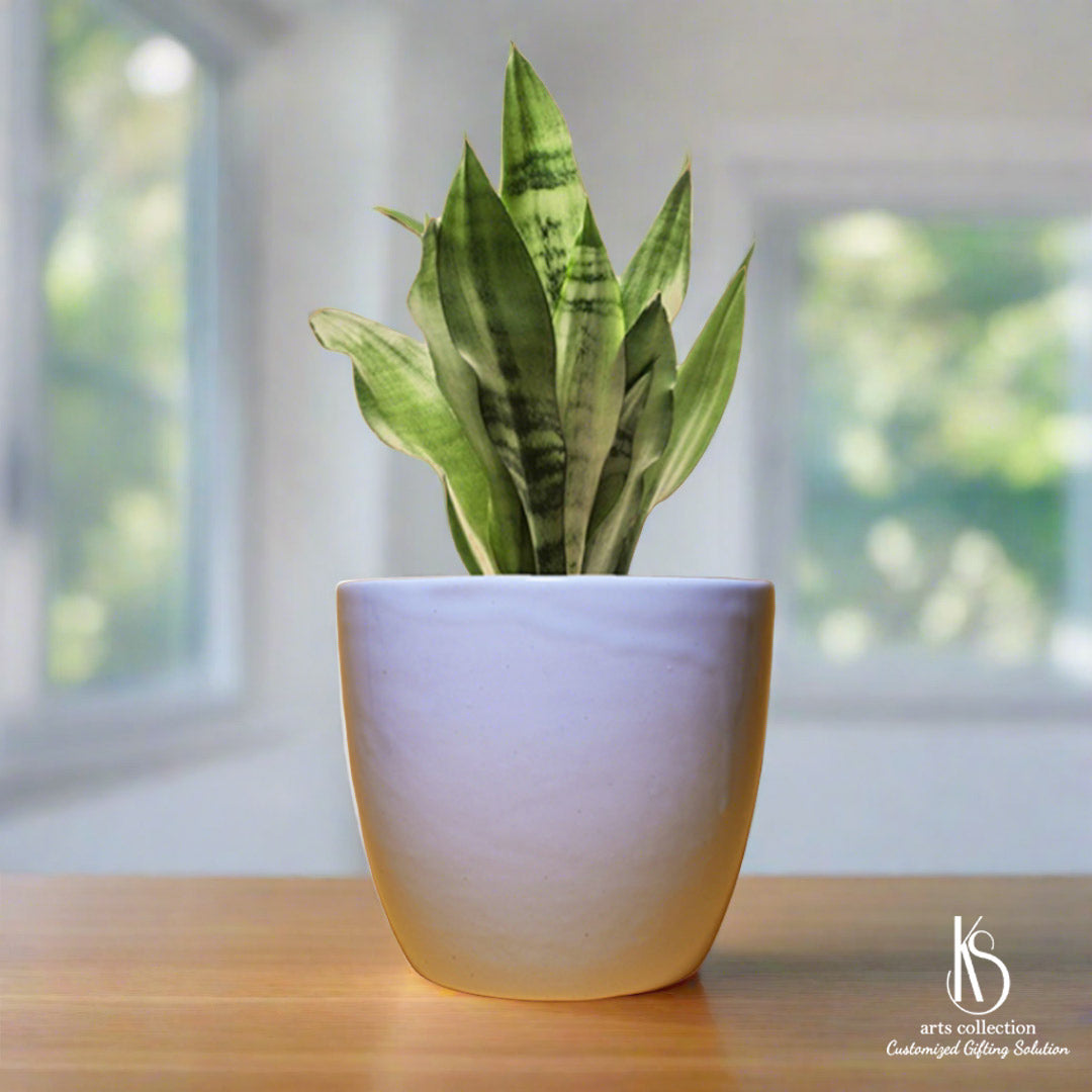plant pot online KS Stunning Classic Ceramic Planter – KS ARTS COLLECTION