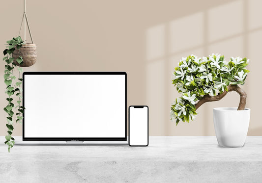 Discover the Benefits of Having Indoor Plants in the Workplace