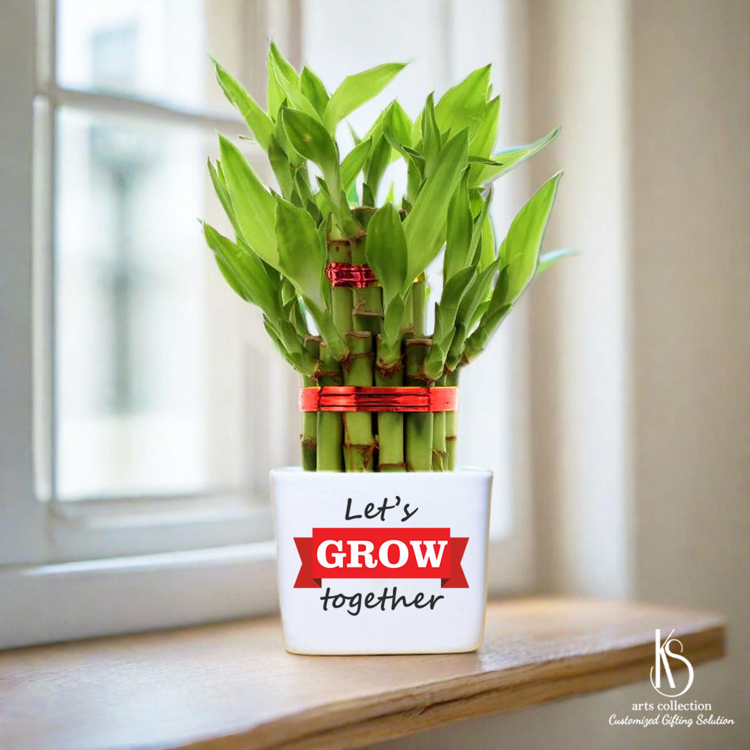 Looking for a unique online gift? Our KS Bamboo Plant Gift is the perfect choice! Personalised gift for your loved ones. Gift them a beautiful bamboo tree online. 