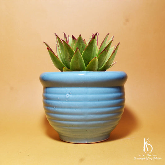 Looking for the perfect gift? Our KS Broad Jar Ceramic Pot is both beautiful and functional. Personalize it today and create a unique herb planter.