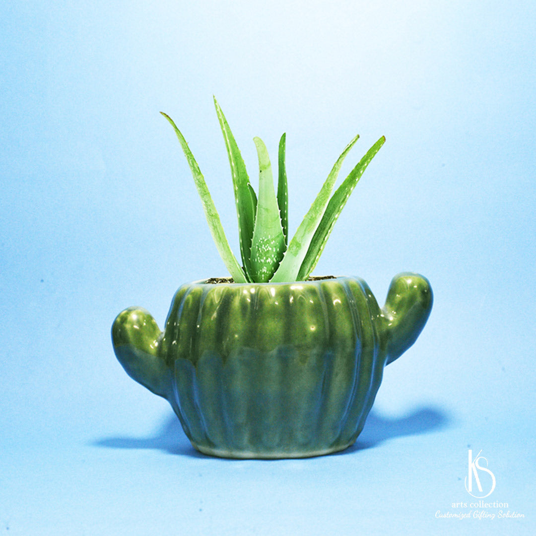 Looking for a unique gift? Our Cactus Ceramic Planter is perfect! Bring nature into your home with this stylish herb planter. Available at our online gift shop.