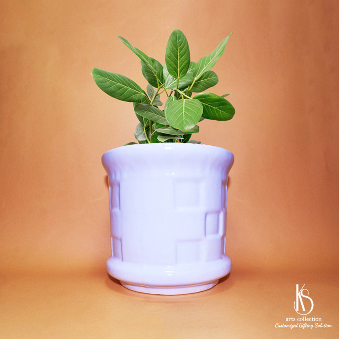 Looking for the perfect gift? Our KS Checkered Ceramic Planter is a delightful addition to any herb lover's collection. Shop now at our Online Gift Shop!