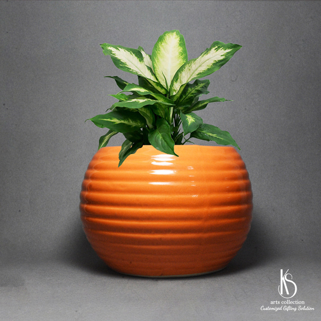 Come explore our KS Classy Round Ceramic Planter in our online gift store. It's a chic customisable gift that's suitable for every event. Take a peek!