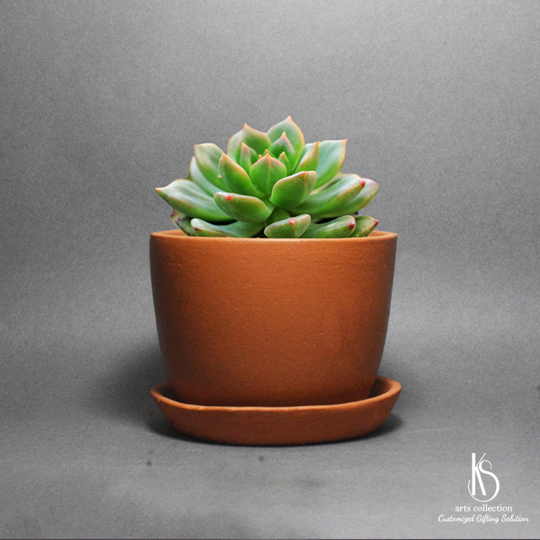 Welcome to our online gift shop! Presenting the KS Clay Pot with Tray planter from our KS Arts Collection. It's a superb personalised gift for plant lovers.