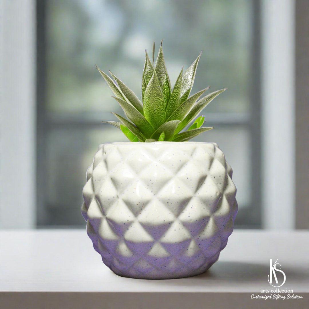 Create a personalized gift with our charming KS custard apple ceramic planter. It's a delightful addition to any herb garden. Order online from our gift shop.