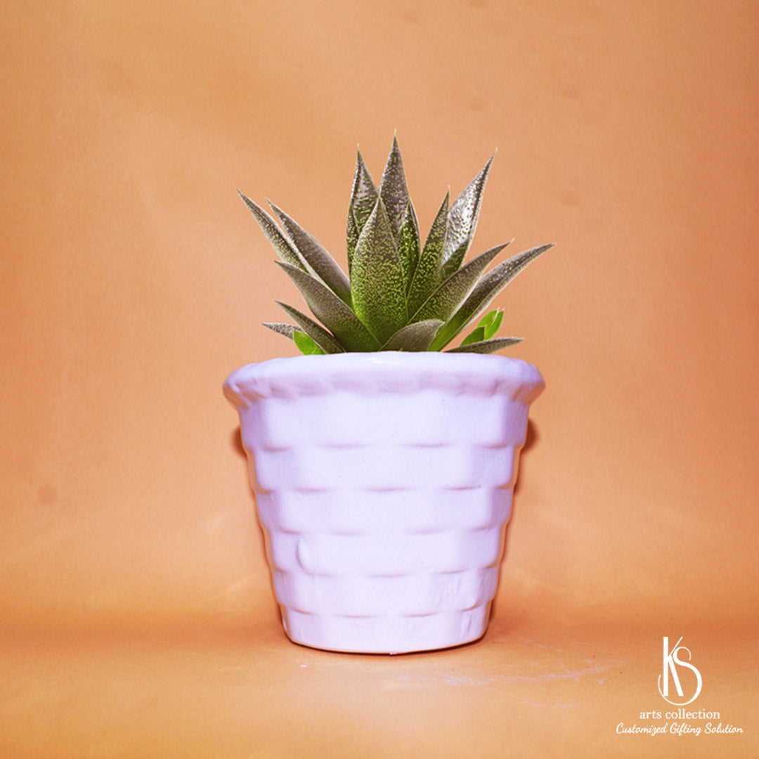 Transform your indoor garden with our KS Cute Bucket Ceramic Planter. It's a delightful herb planter you can't resist. Discover it at our online gift shop today!