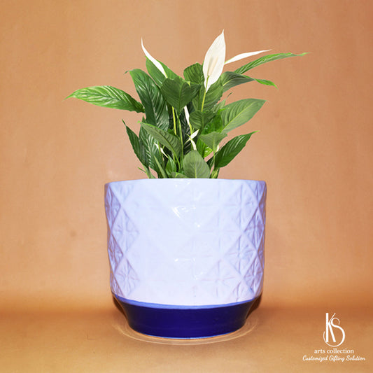 Discover the KS Designer Ceramic Planter at our Online Gift Shop. With its personalized touch, it's not just a herb planter, but a heartfelt gift idea for any occasion!