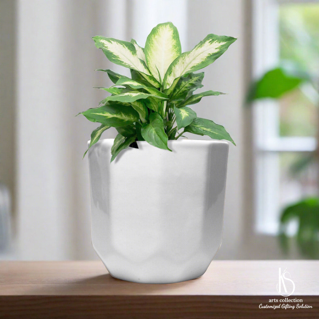 Surprise your loved ones with our KS Diamond Ceramic Planter. It's a thoughtful and personalized gift choice, ideal for growing herbs. Available in our online gift shop!