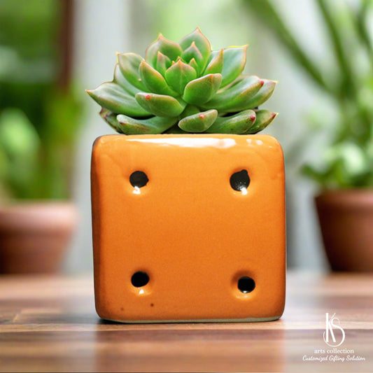 Surprise someone with a thoughtful and personalized gift from our online shop! Our KS Dice Ceramic planter is not only a chic herb planter but also a delightful addition to any home decor.