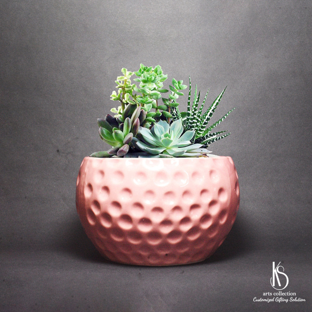 Bring the moon to your room with KS Dotted Moon Ceramic Planter from our online gift shop. A perfect personalized gift for plant lovers! 