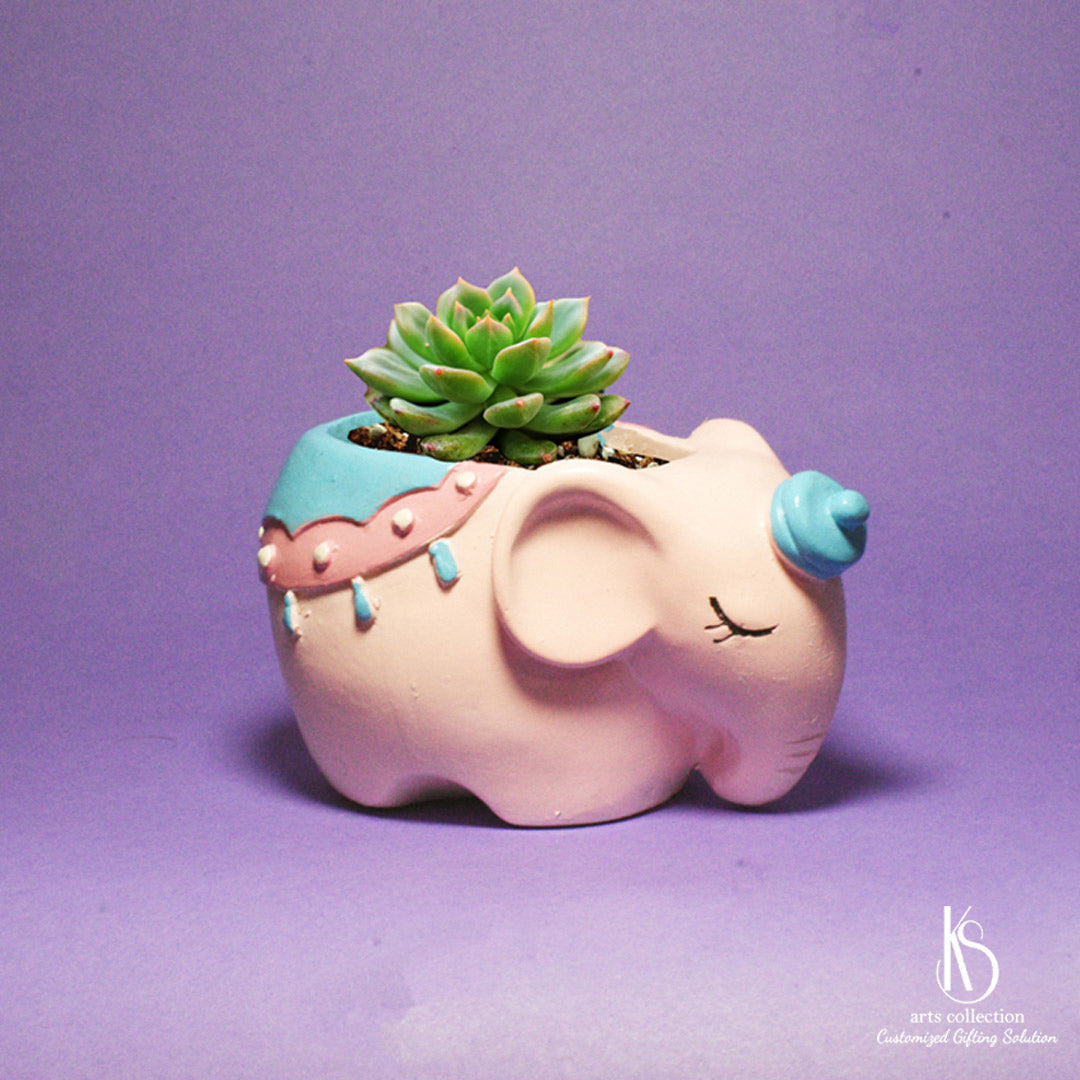 Looking for a unique planter or personalised gift? Find our KS Dreaming Pink Elephant Resin pot at our online gift shop, just waiting to spruce up your space