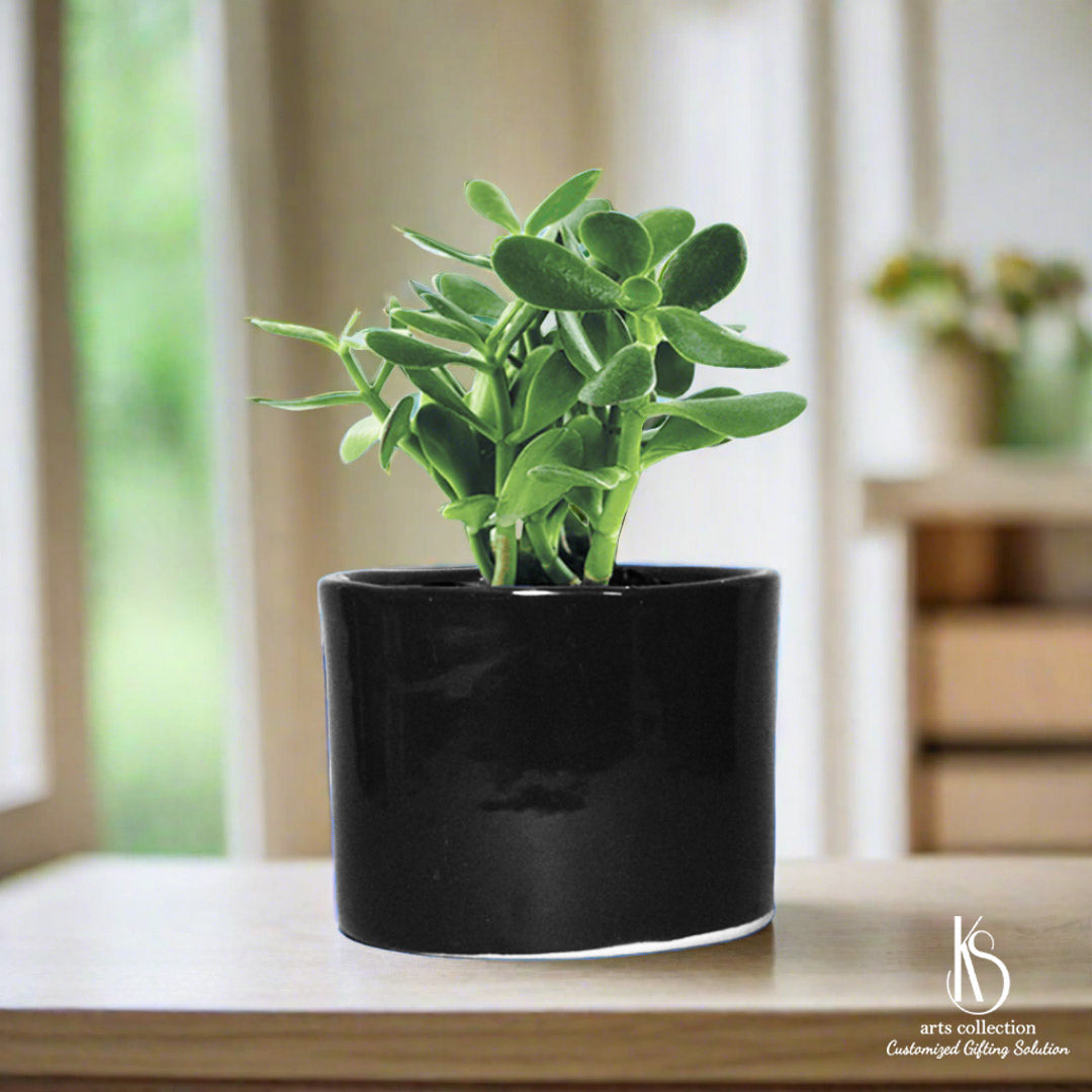 Looking for a unique gift? Our KS Drum Ceramic Planter is a must-have from our Online Gift Shop! Customize it for a personal touch and enjoy fresh herbs anytime.