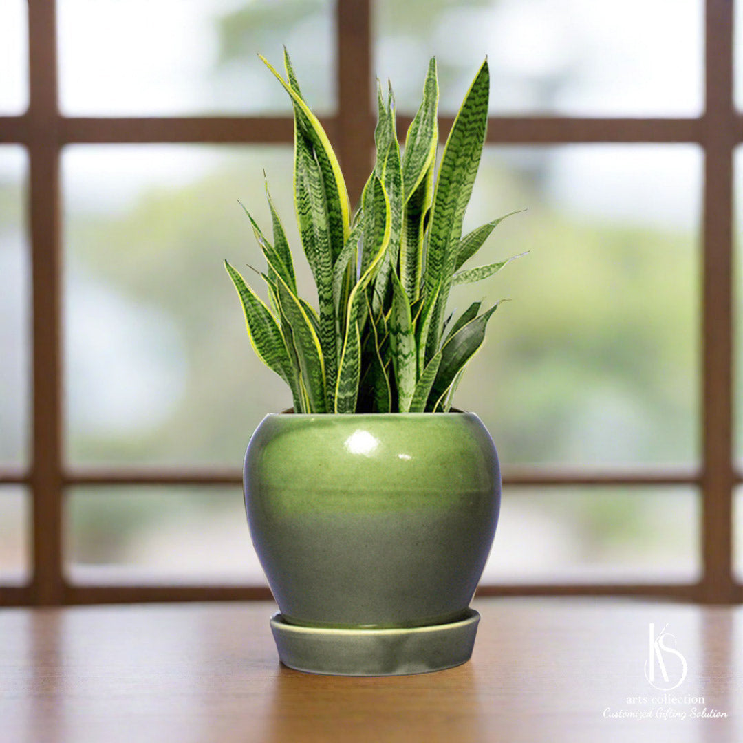 Sprinkle some love with this KS Elegant Ceramic Pot with Tray! It's not just a herb planter, but a personalized gift that will brighten up any space. Shop now at our online gift shop!