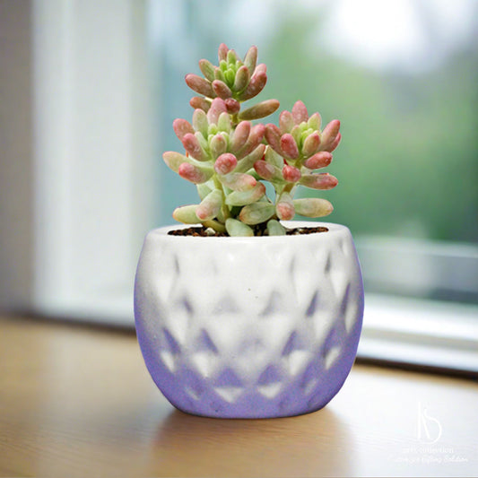 Introducing our adorable KS Golf Ball Ceramic Planter! Perfect for golf enthusiasts, it's a unique personalised gift and herb planter. Shop at our Online Gift Shop