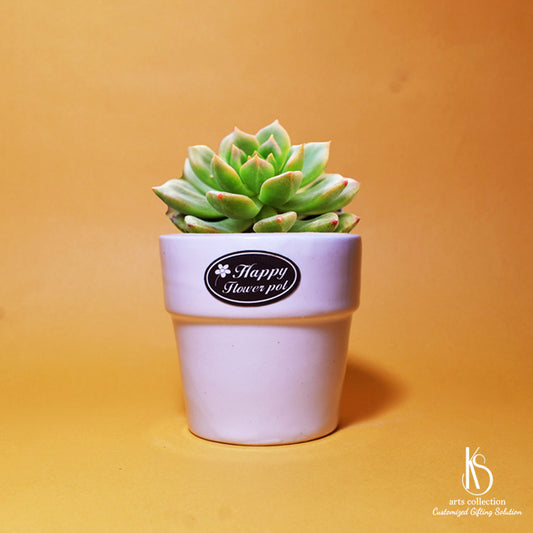 Brighten up any space with our KS Happy Ceramic Pot! Ideal for personalised gifts, this charming pot doubles as a decorative herb planter.