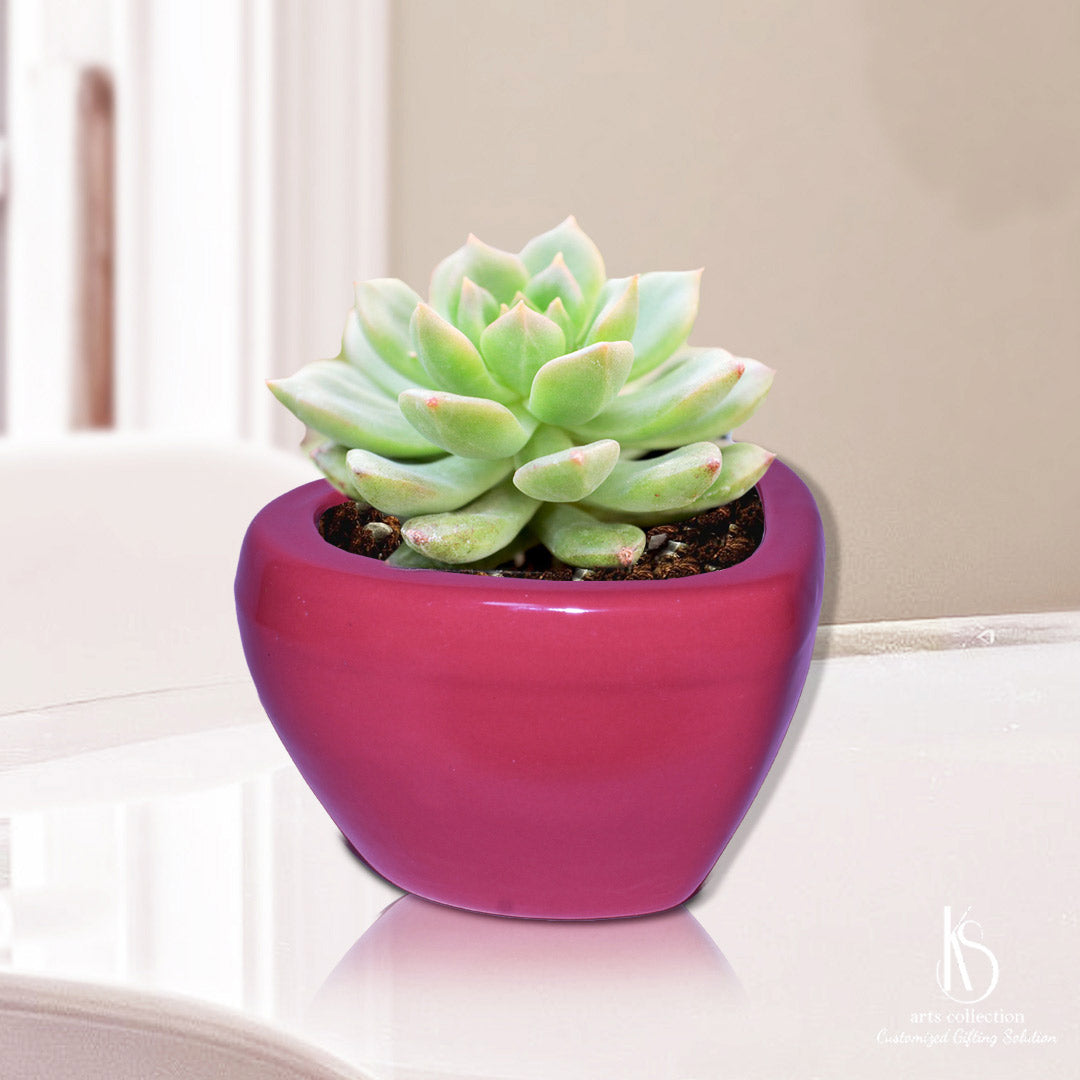 Surprise your loved ones with a personalized gift from our online gift shop. This custom heart shaped red pot planter is a beautiful and thoughtful present for any plant lover.