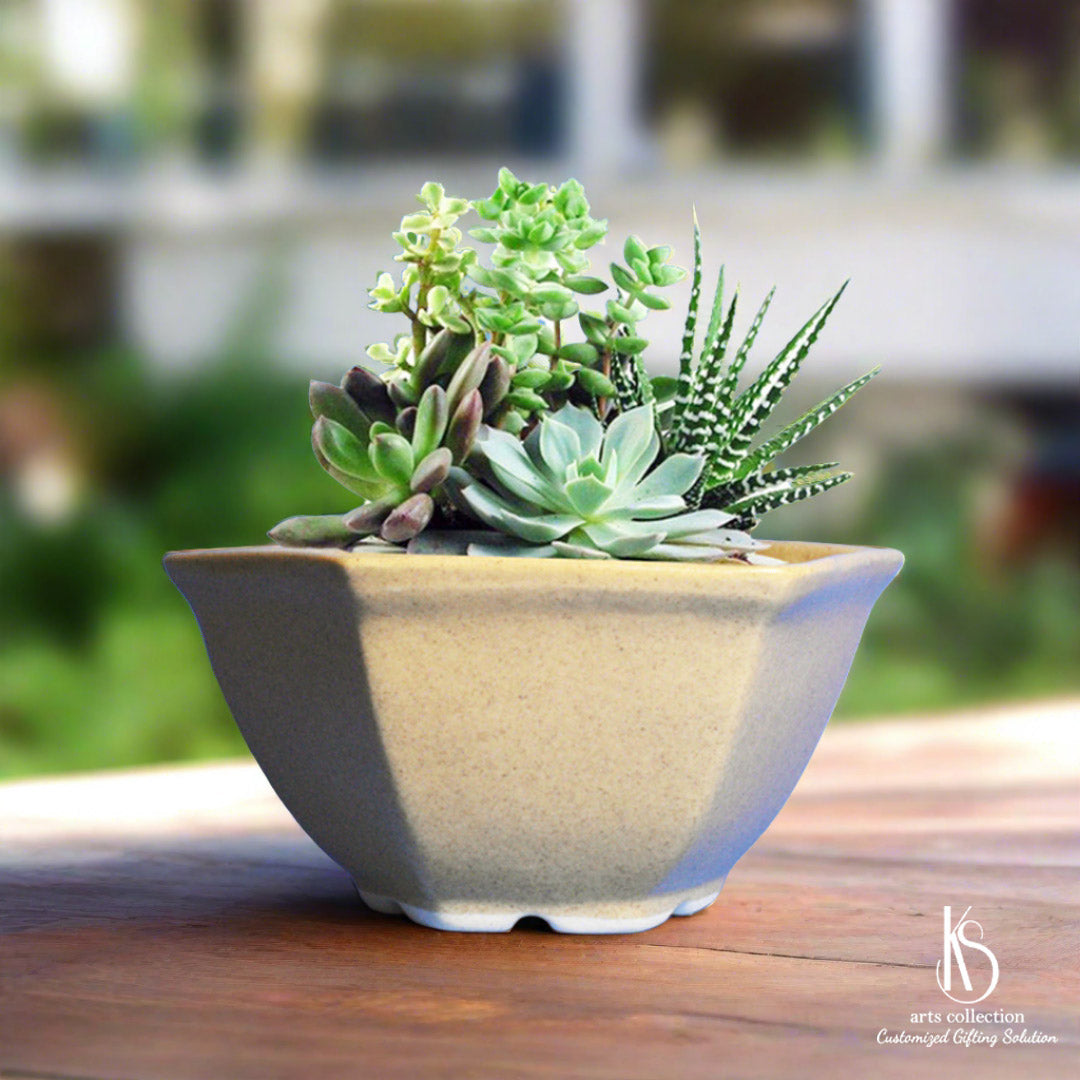 Discover the perfect gift for plant lovers at our online shop. Our KS Hexagon Ceramic Planter is not only stylish but also functional, making it an ideal herb planter.