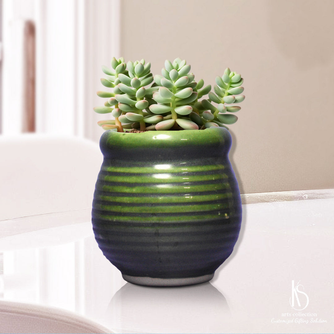 Herb Planter you'll love! Our Online Gift Shop offers the KS Honey Jar Ceramic Pot Planter. A personalised gift that adds charm to any space!