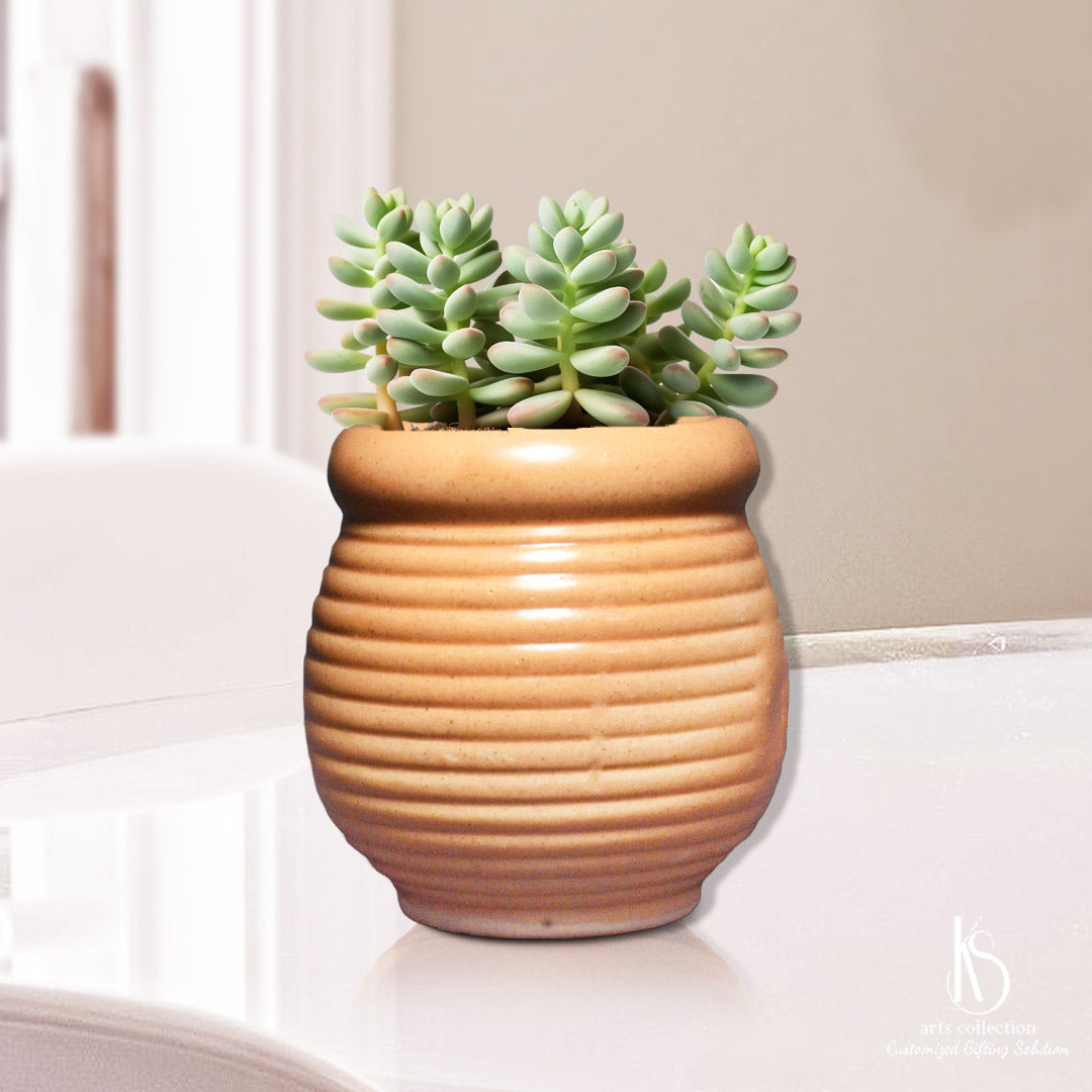 Add sweetness to your life with our KS Honey Jar Ceramic Planter from the KS Arts Collection. Perfect for Personalised gifts, only at our Online Gift Shop.