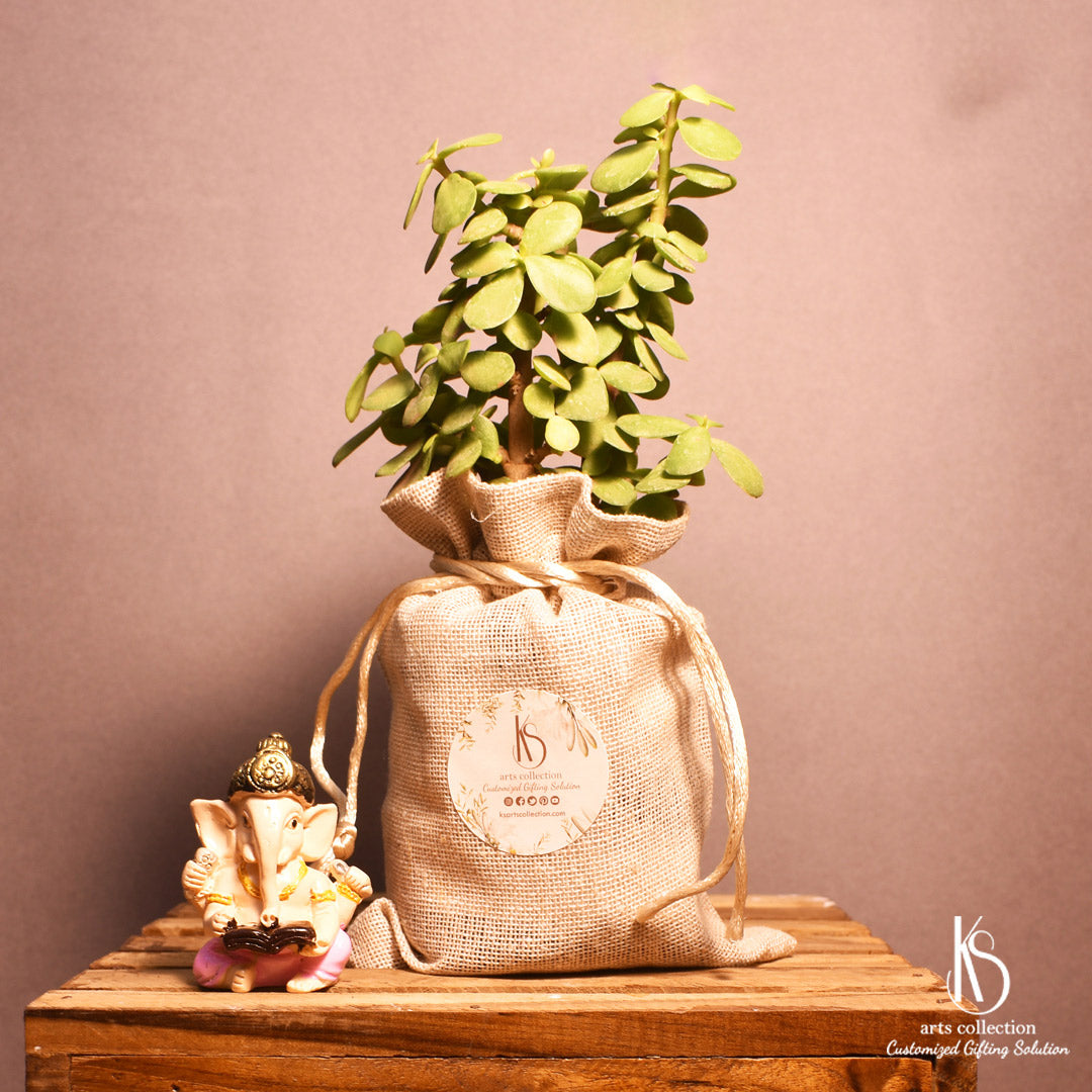 Give the gift of luck with our KS Mini Jade Good Luck Plant! Shop for customized gifts at our online gift shop and make someone's day extra special.