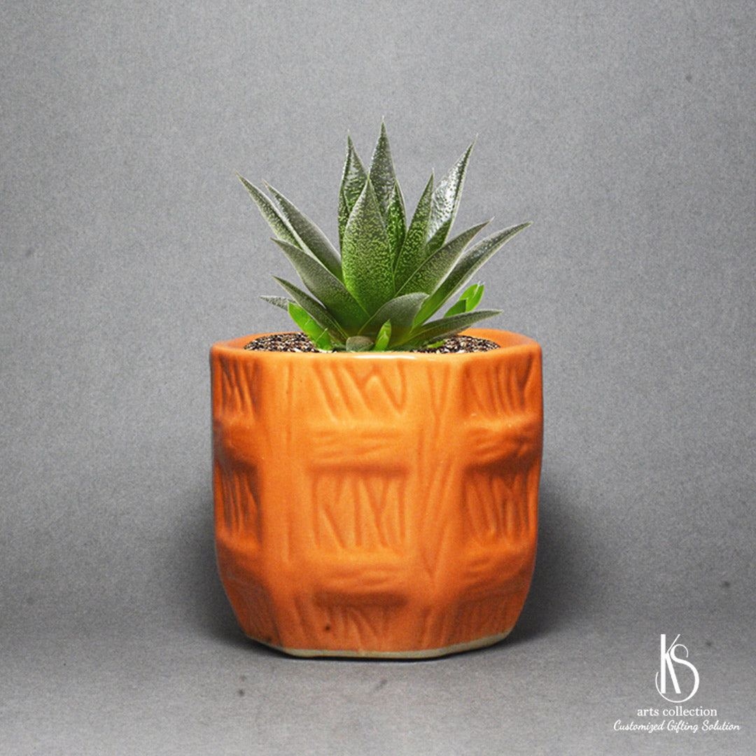 Surprise your loved ones with a personalized KS Kesariya Ceramic Pot from our Online Gift Shop. Perfect for adding a touch of green to any space as a Herb Planter.