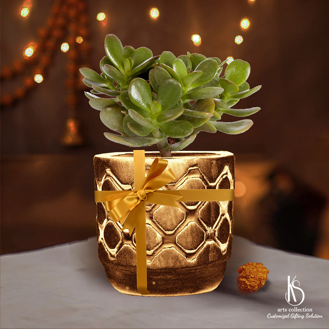 Looking for a unique gift? Our KS Kuber Plant with golden ceramic pot is a great choice! Customize your gift from our Personalised gifts collection