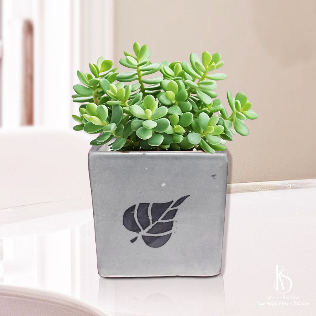 Add a touch of greenery to your décor with the KS Leaf Print Ceramic Planter. Find it at our online gift shop, a part of the exquisite KS Arts Collection.