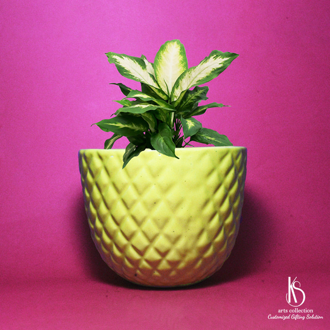 Surprise your loved ones with a personalised gift from the KS Arts Collection. Our Pineapple Ceramic Pot is great for bulbs, herbs, or any plants. Order now!