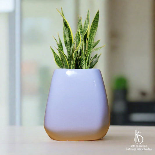 Looking for the perfect personalised gift? Our KS Pyramid Ceramic Planter is a great choice! Ideal for herb gardening, it's available at our online gift shop.