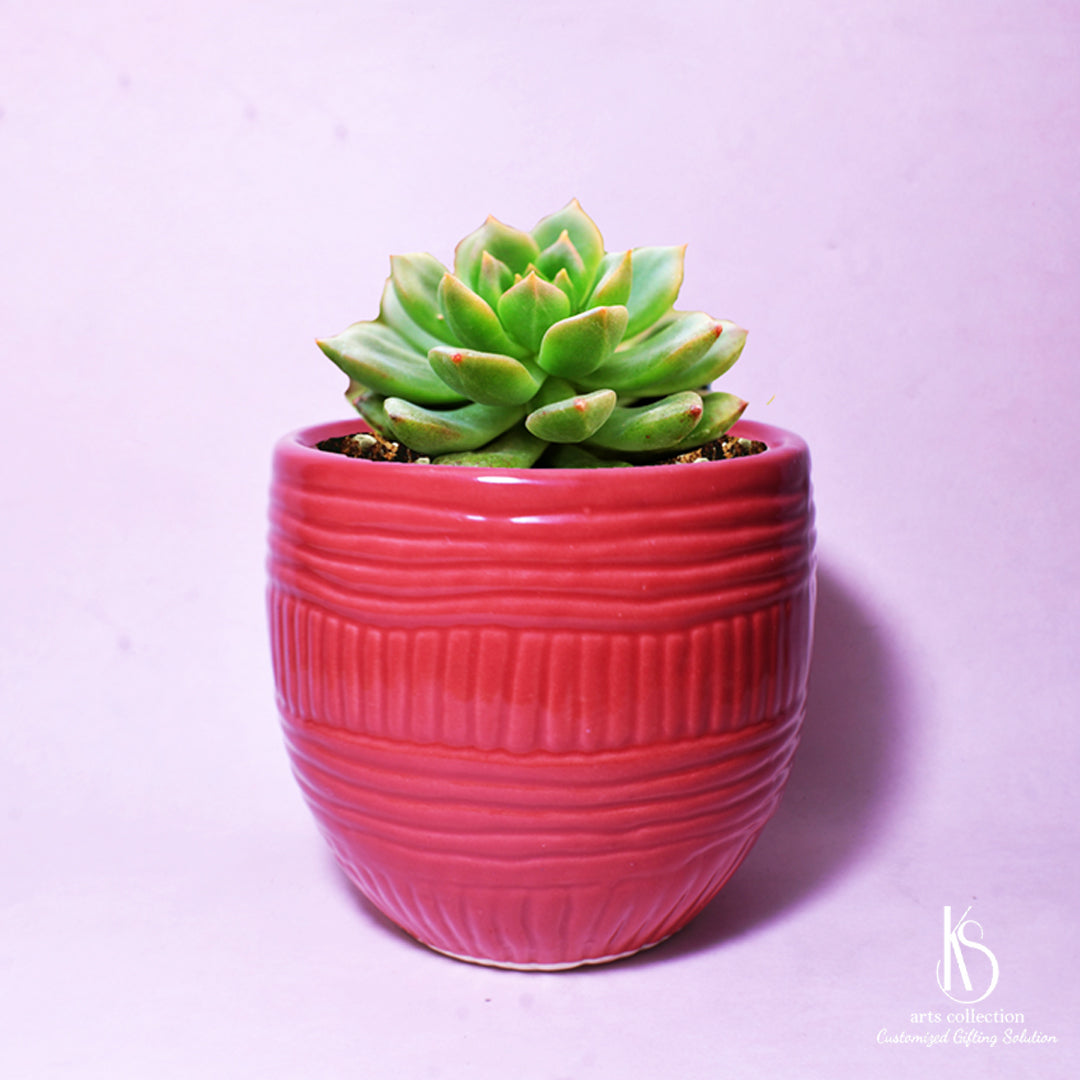 Searching for a memorable gift? Check out our online gift store and discover the KS Red Barrel Ceramic Planter, specially designed personalised gift for gardening.