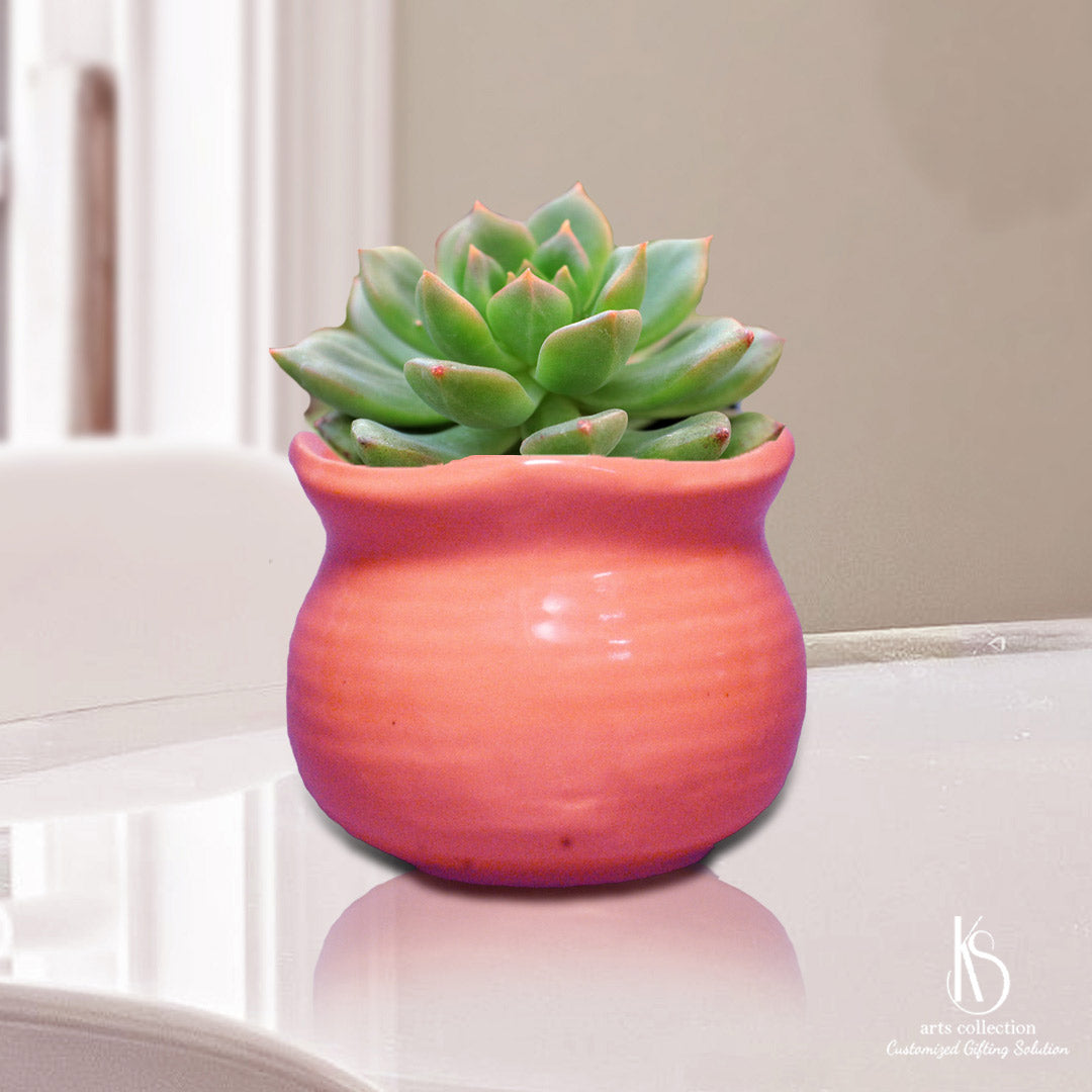 Discover the perfect personalized gift at our online shop! The KS Small Matki Ceramic Planter is a charming herb planter that adds a touch of beauty to any space