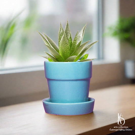 Brighten up your home or workspace with KS Succulent Plant Pots , available at our Online Gift Shop. It makes the ideal personalised gift or herb planter.