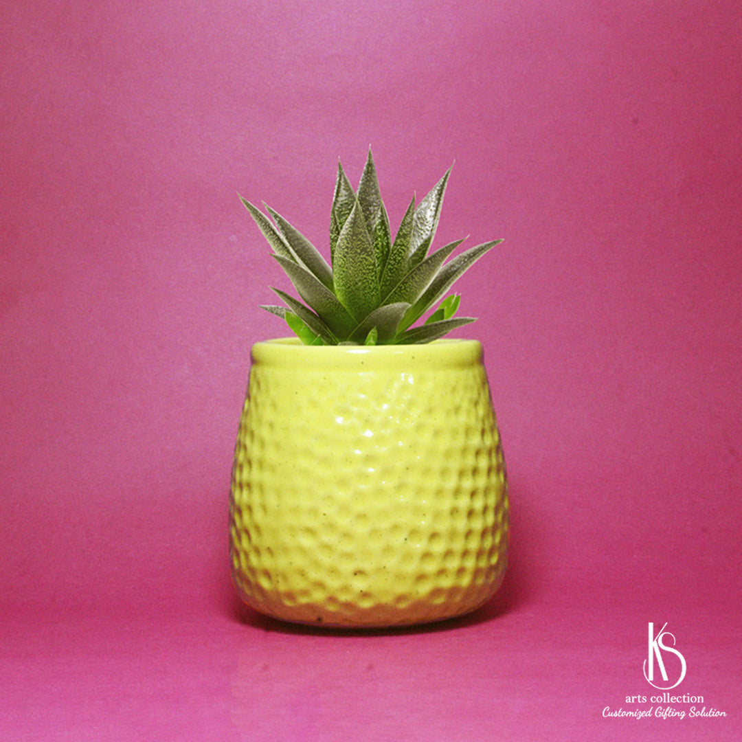 A treasure from the KS arts collection, this Tiny Pineapple Ceramic Pot Planter is your next exquisite, personalised gift. Now available in our online shop