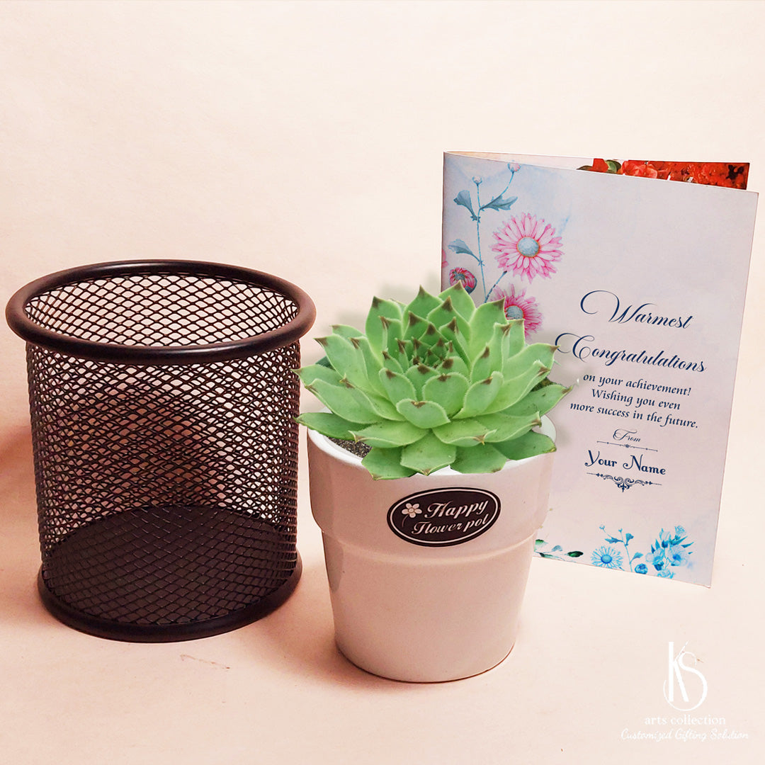 Browse our online gift shop and make your loved ones smile with the KS Charming Laxmi Kamal Succulent Gift Hamper! A perfect personalised gift