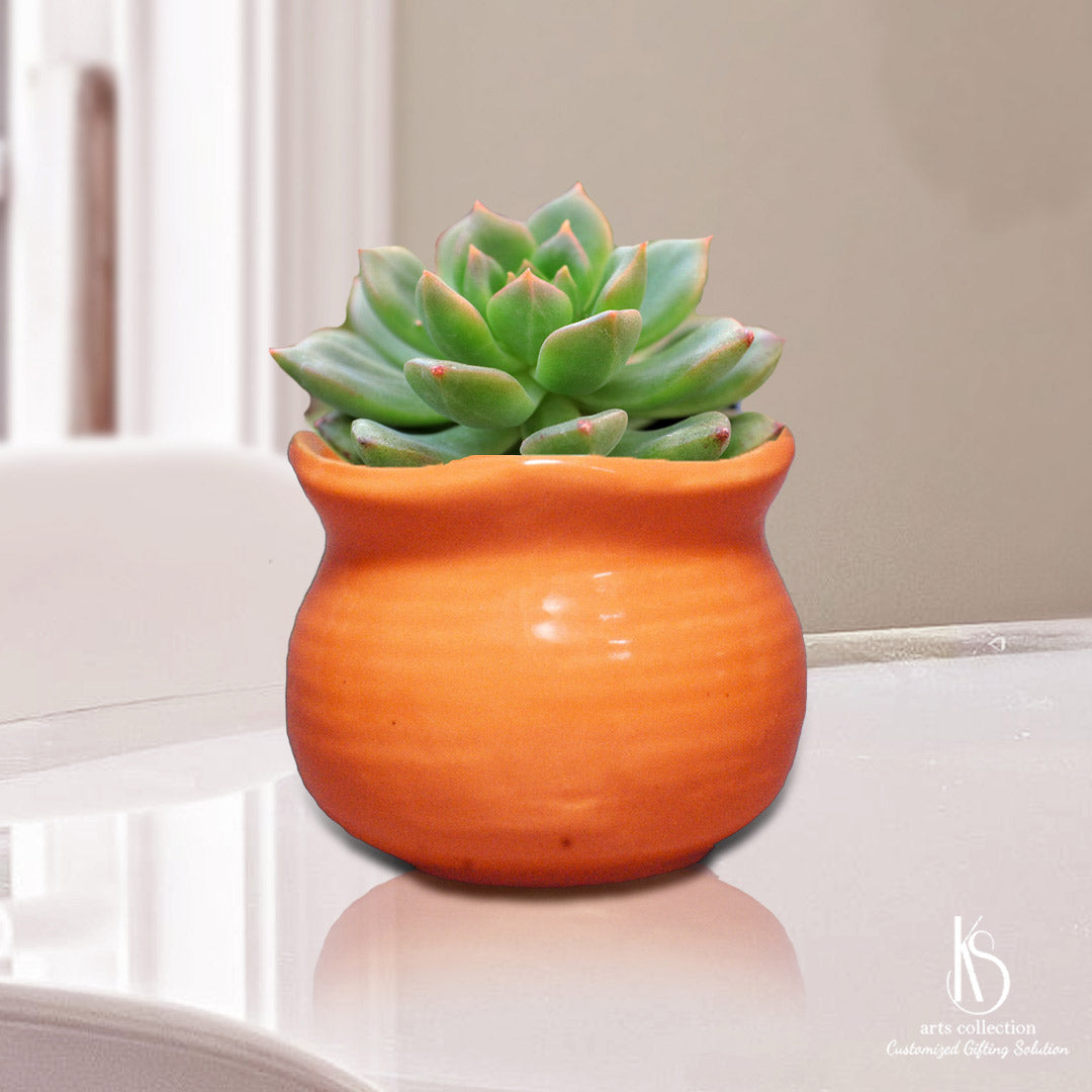 https://ksartscollection.com/cdn/shop/files/KS-small-ceramic-planter-1.jpg?v=1696358688&width=1445