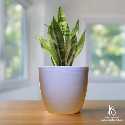 Make their day with a unique personalized gift! Our KS Stunning Classic Ceramic Planter can be engraved with their name. Ideal for herb lovers. Shop now in our online gift shop.